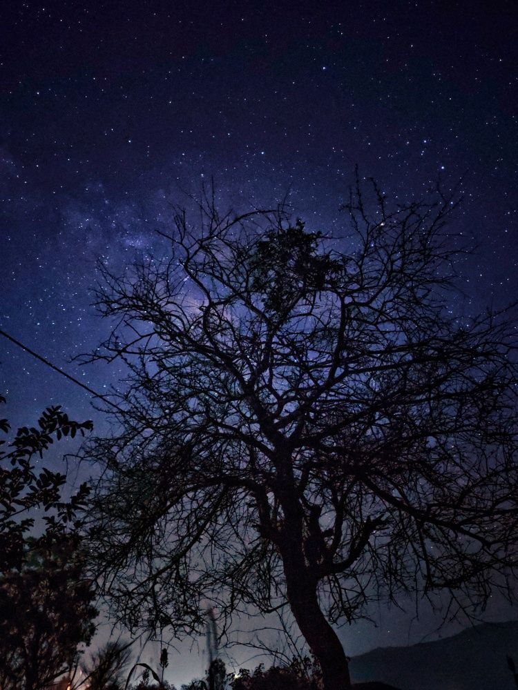 Photograph by Yogesh Yadav