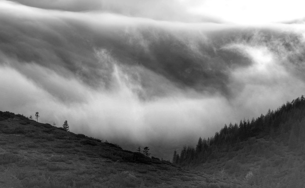 Встреча с туманом .