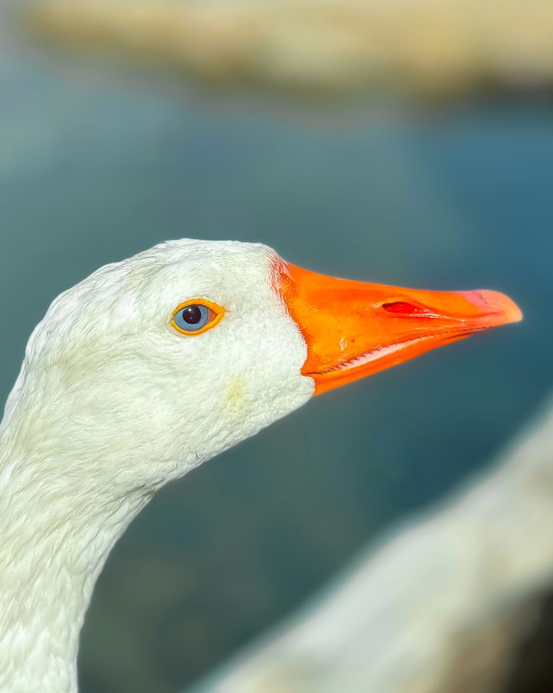 Photograph by amn_graphy_