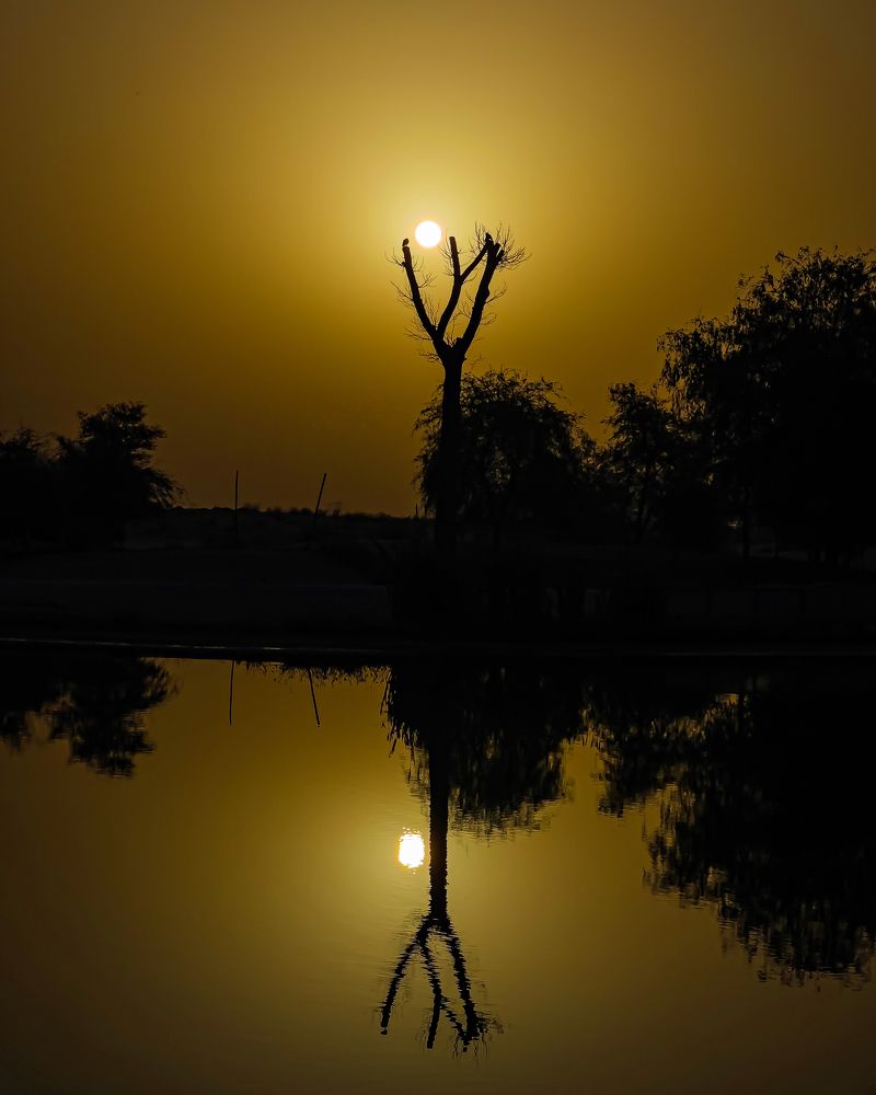 Photograph by amn_graphy_