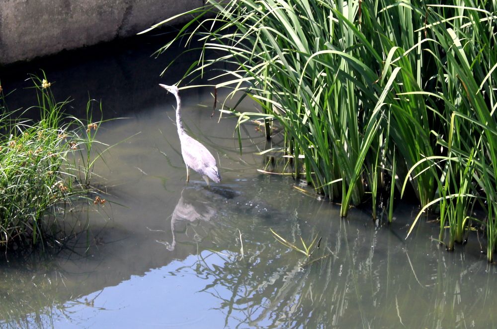 Photograph by Николай Немчанинов