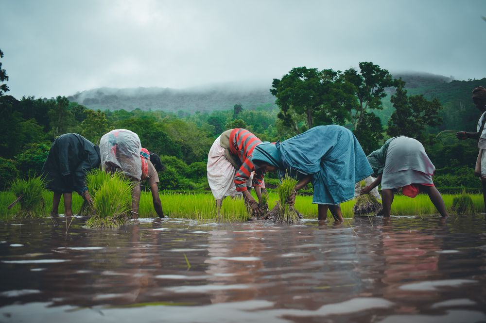 Photograph by Sai kiran teja