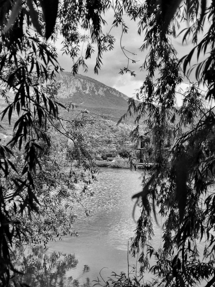 Photograph by Наталья Прекрасная