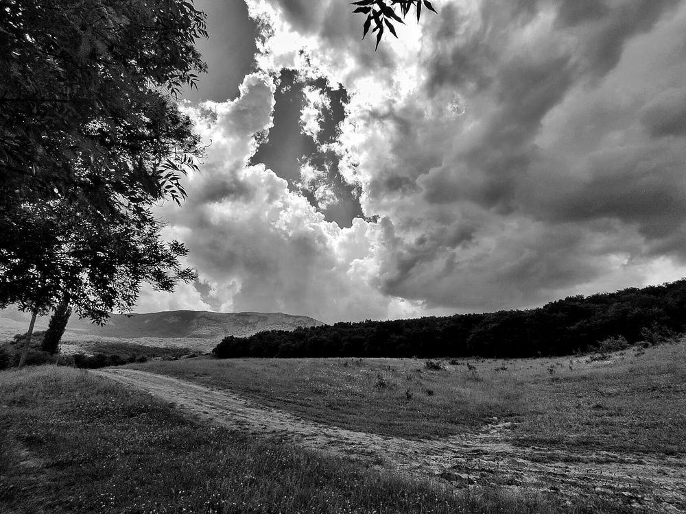 Photograph by Наталья Прекрасная