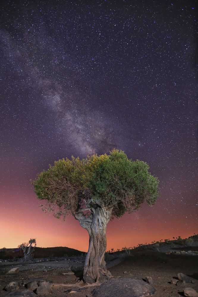 Photograph by salem sultan