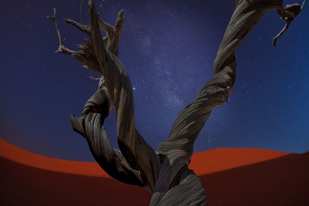 Photograph by salem sultan