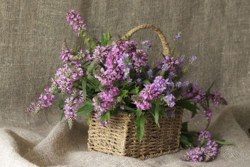 Photograph by Светлана Соколова