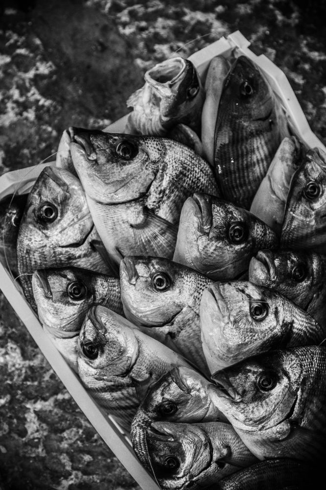 Photograph by salvatore trupia