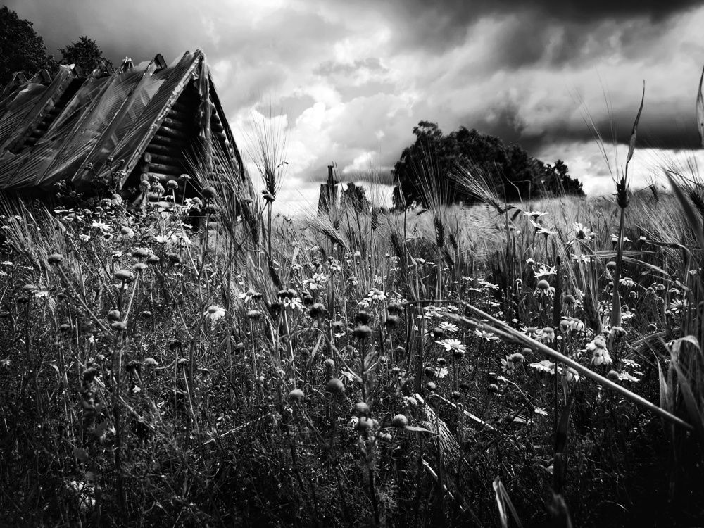 Где-то, в деревушке..