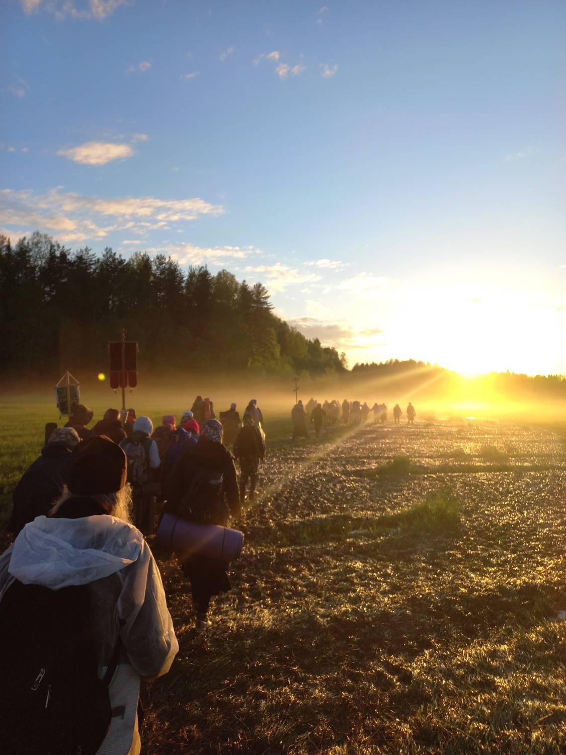 Photo #7825880
