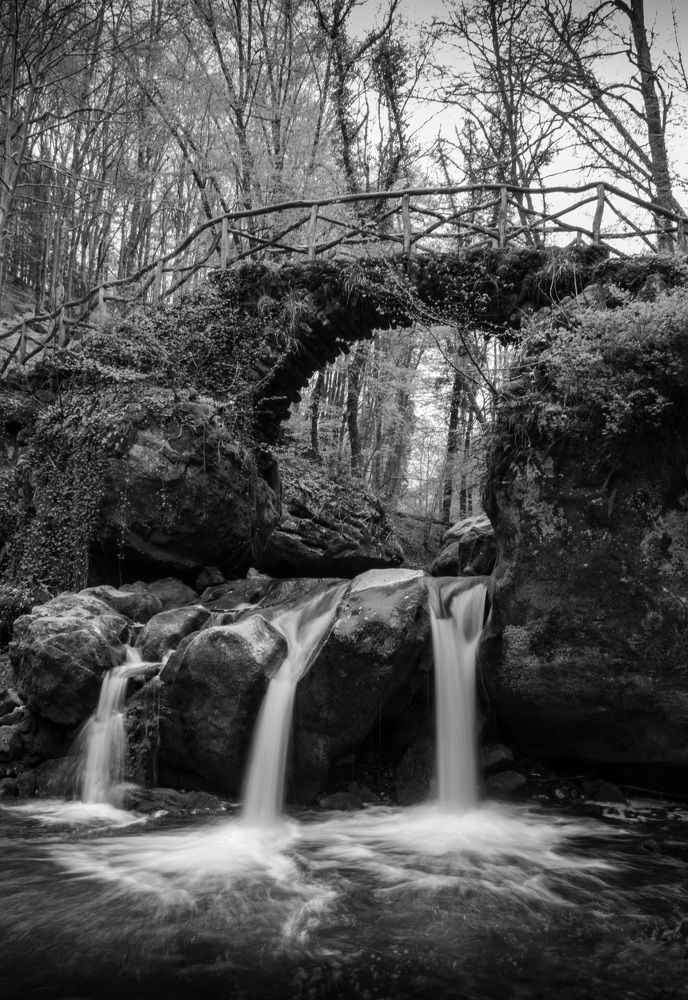 Photograph by Mariia Muratova