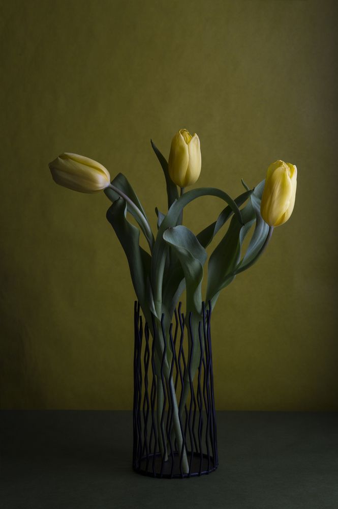 Photograph by Мария Пичугина