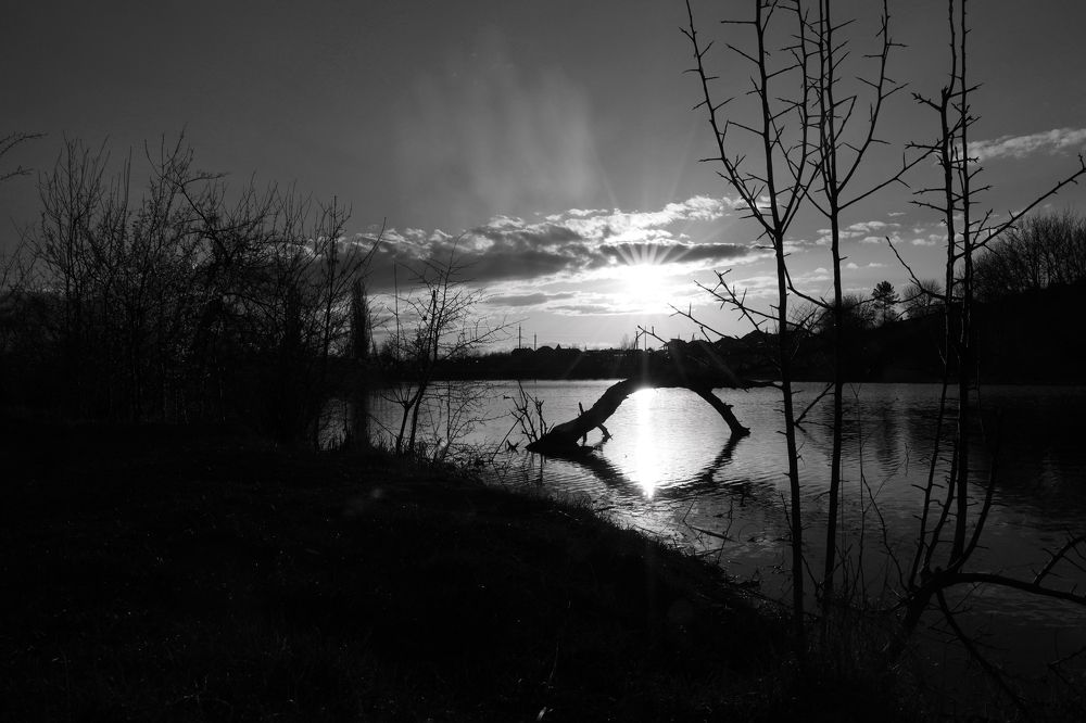 Photograph by Виктория Бережок
