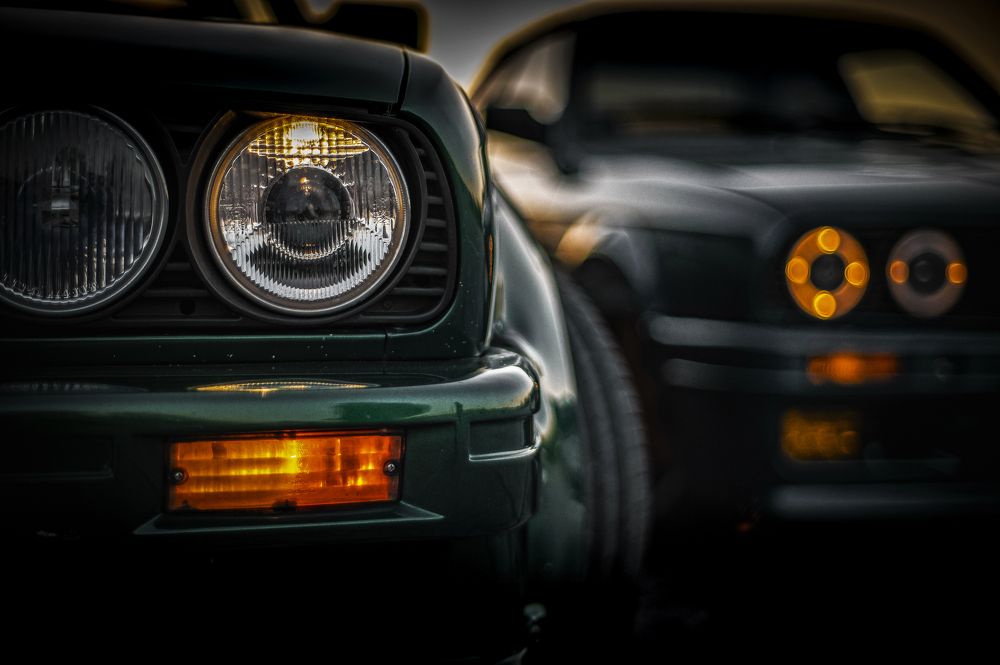 Photograph by Roman Adler