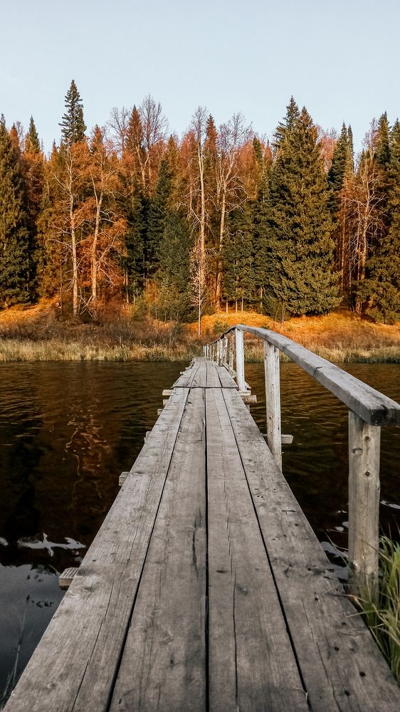 Photograph by Альбина Муртазина