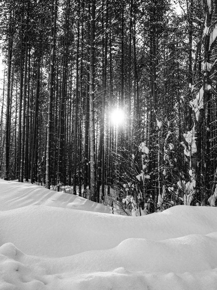 Photograph by Андрей