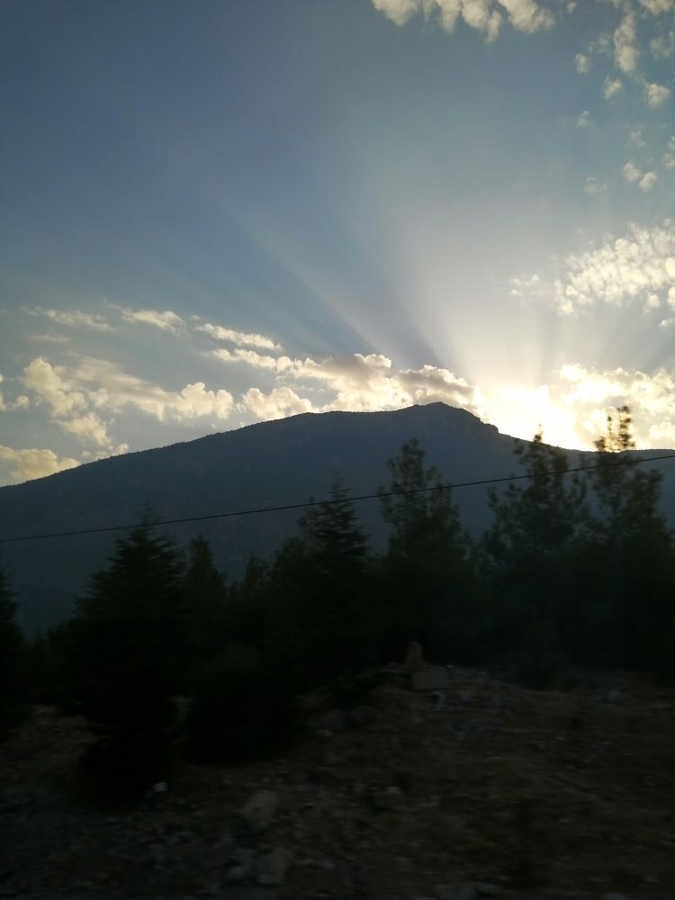 Photograph by Tany Pol