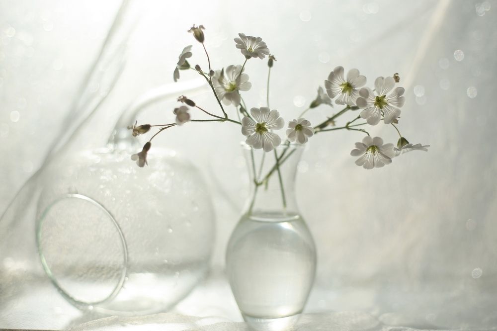 Хрупкость бытия.