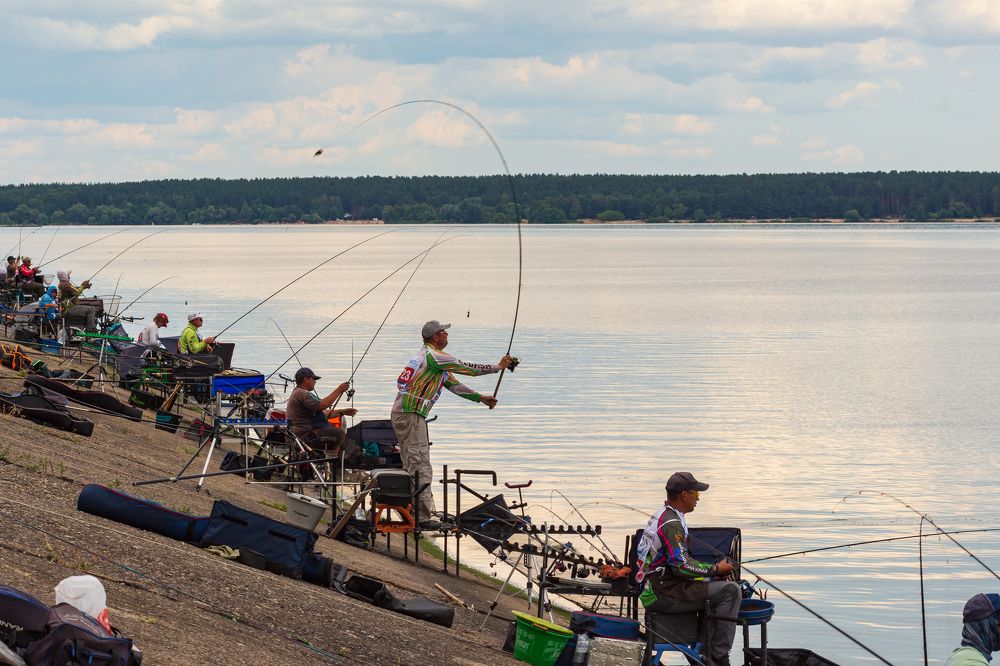 Photograph by Алексей Кузьмин