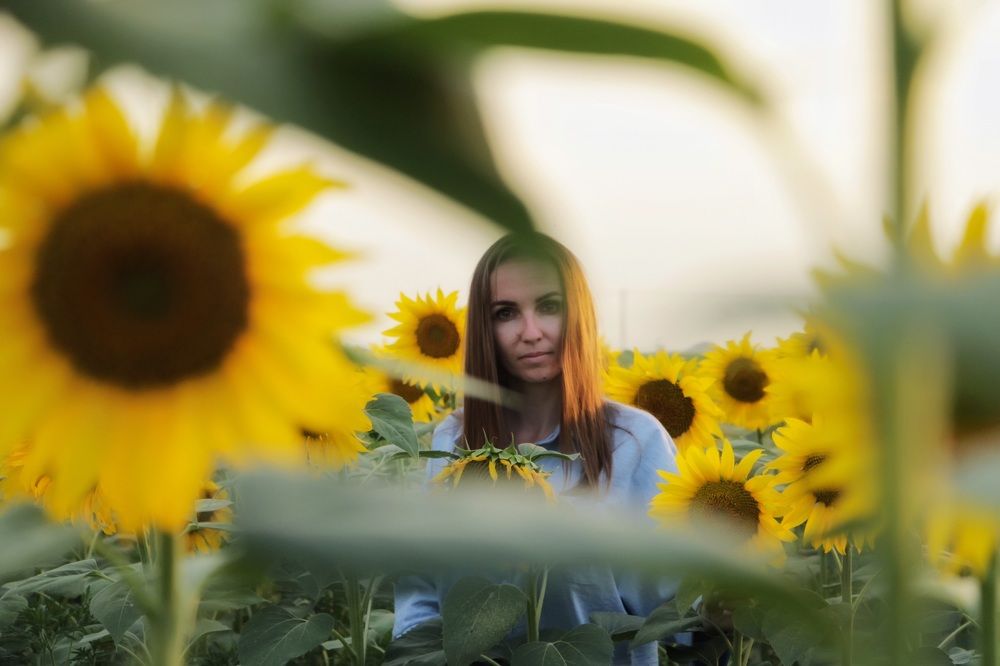 Photograph by Алексей Кроль