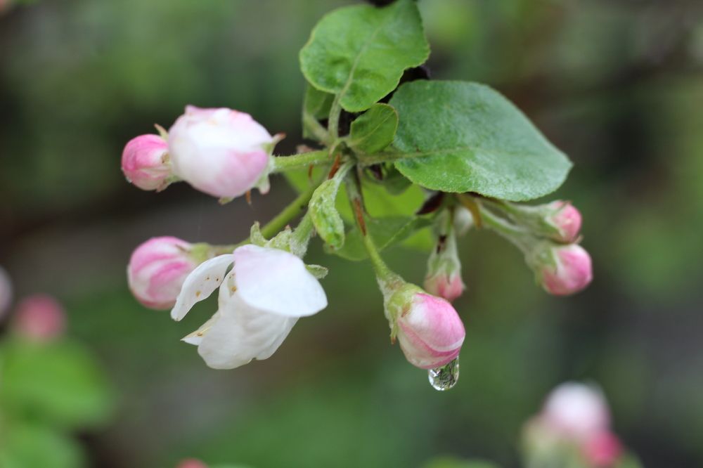 Photograph by Наталия