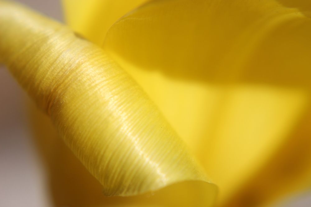 Photograph by Наталия