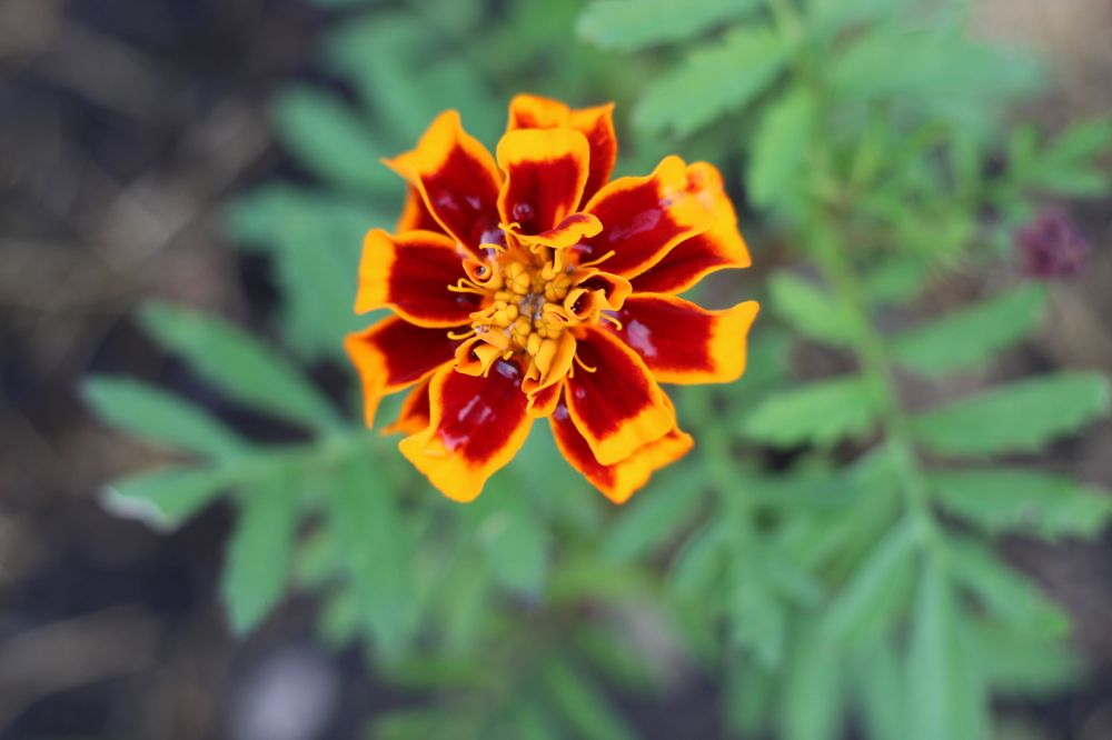 Photograph by Наталия