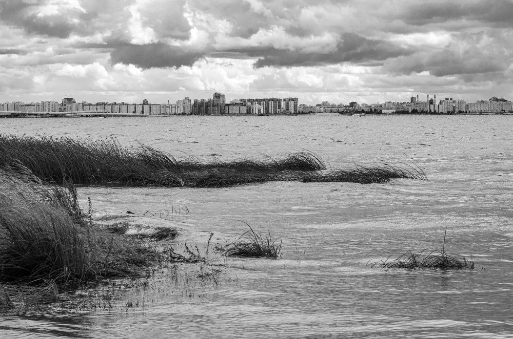 Photograph by Елена Аверина