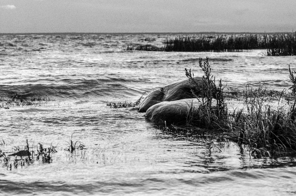 Photograph by Елена Аверина