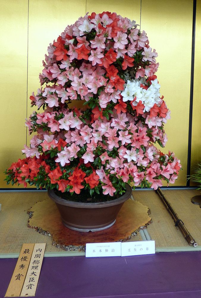 Photograph by Pjotr Alekseev