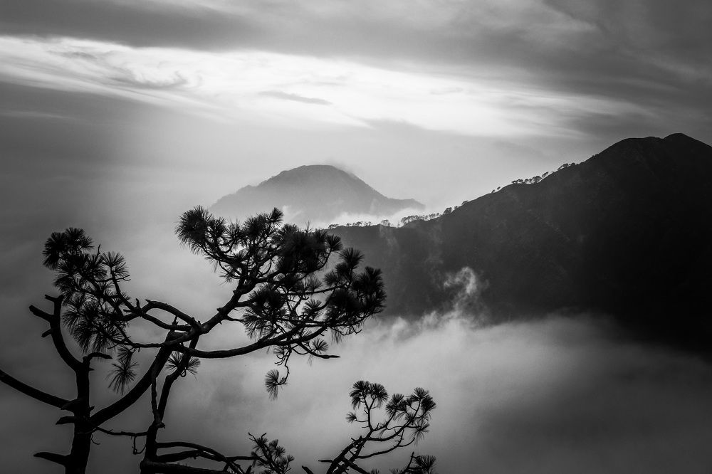 Photograph by Aastha Vyas