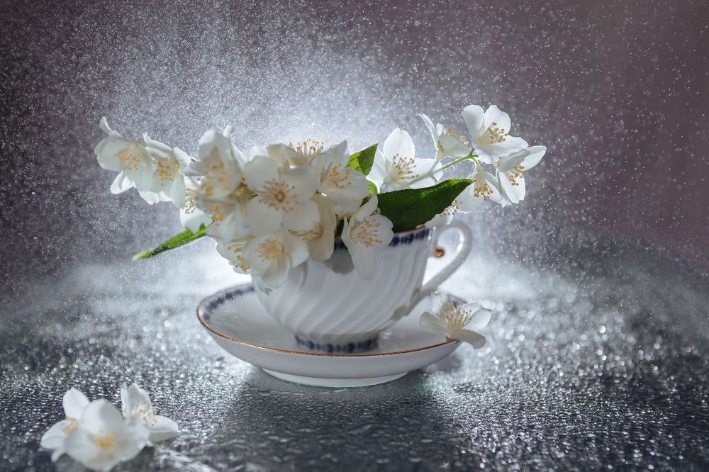 Photograph by Любовь Нефедова