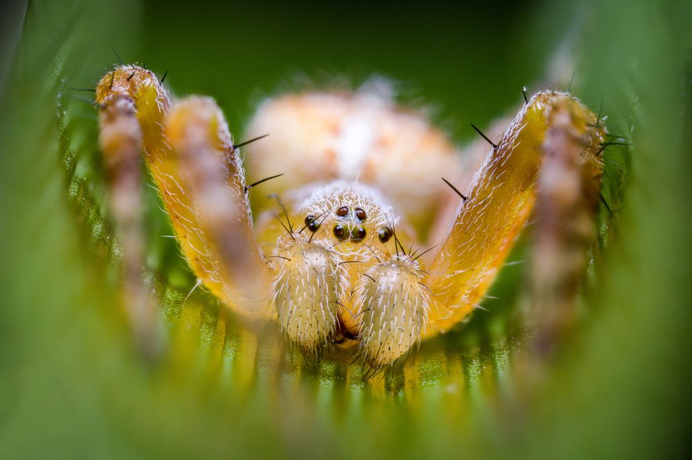 Photograph by Tomas Hora