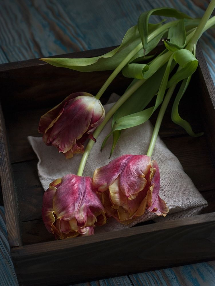 Photograph by Наташа Андреева