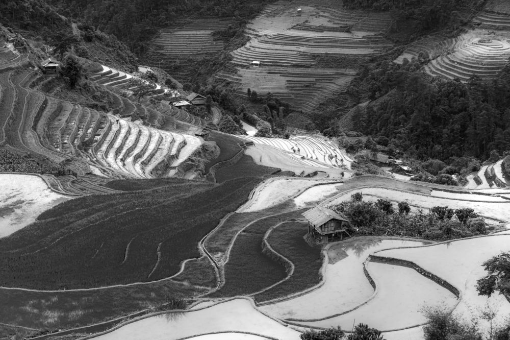 Photograph by Chris Duy