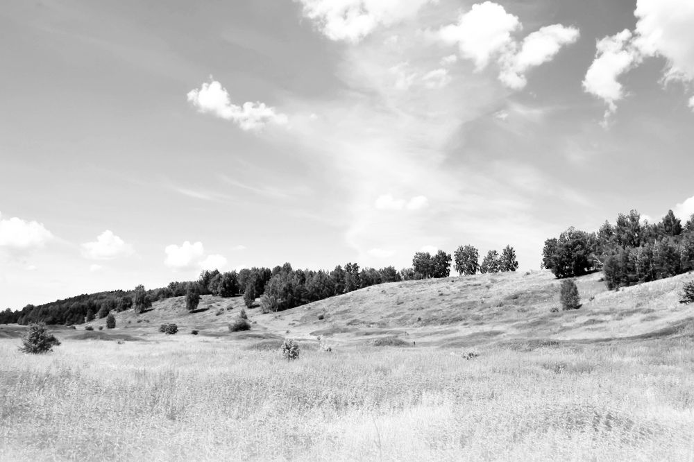 Photograph by Екатерина