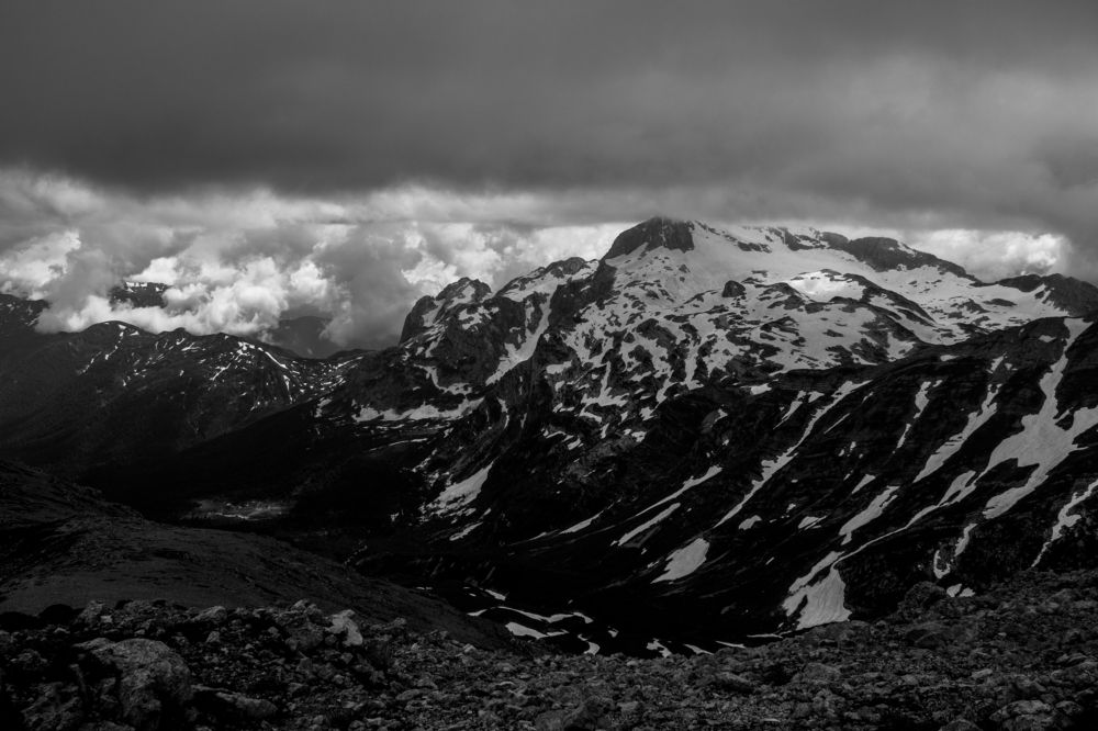 Photograph by Елена Плотникова