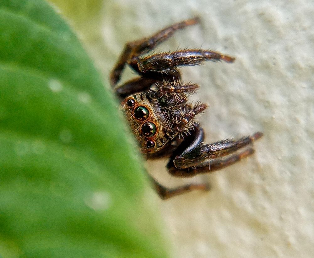 Photograph by Steen Sebastian