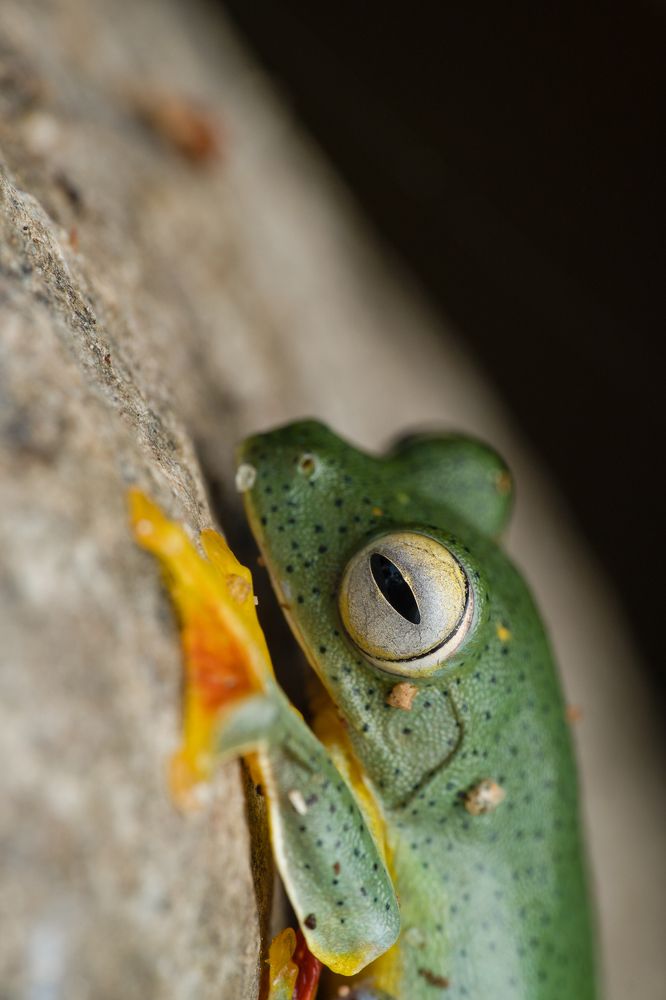 Photograph by Sonuprakash