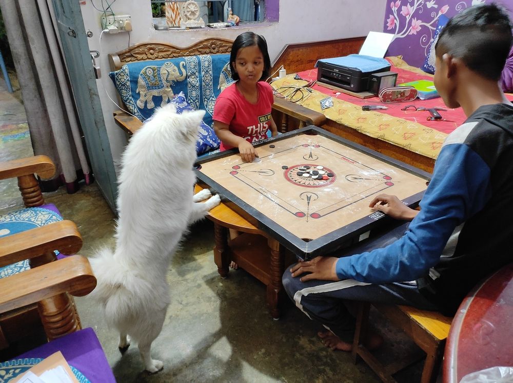 Фотография автора Santanu Dasgupta