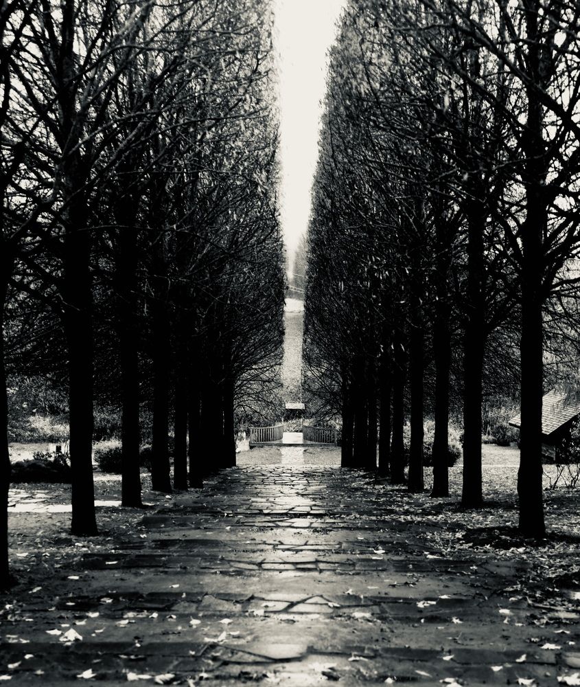 Photograph by NELLY KOROLEVSKAYA