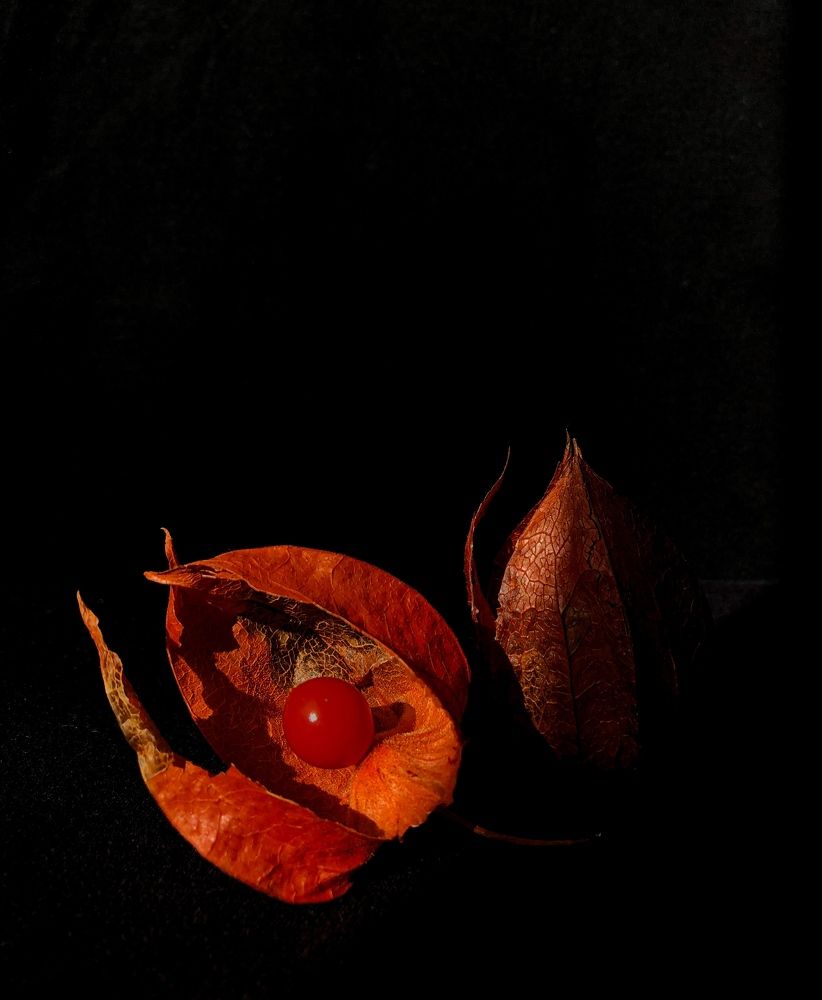 Photograph by Кристина Луканова