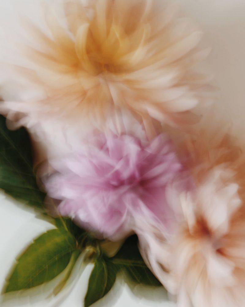 Photograph by Кристина Луканова