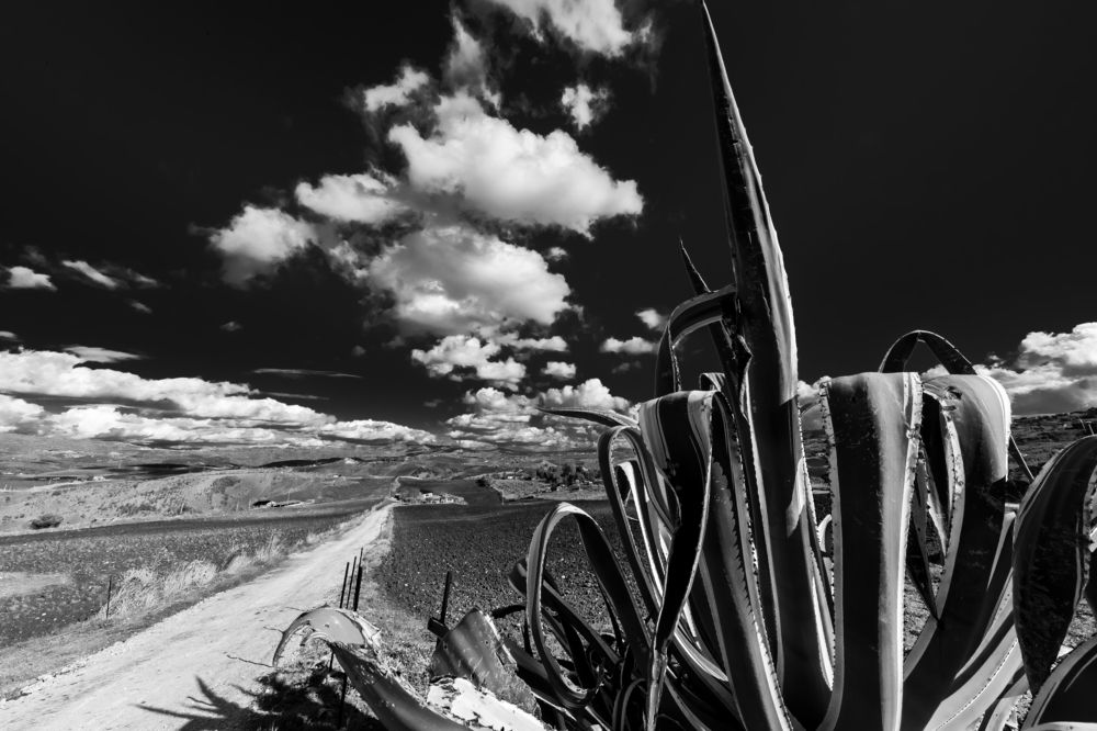 Photograph by salvatore trupia