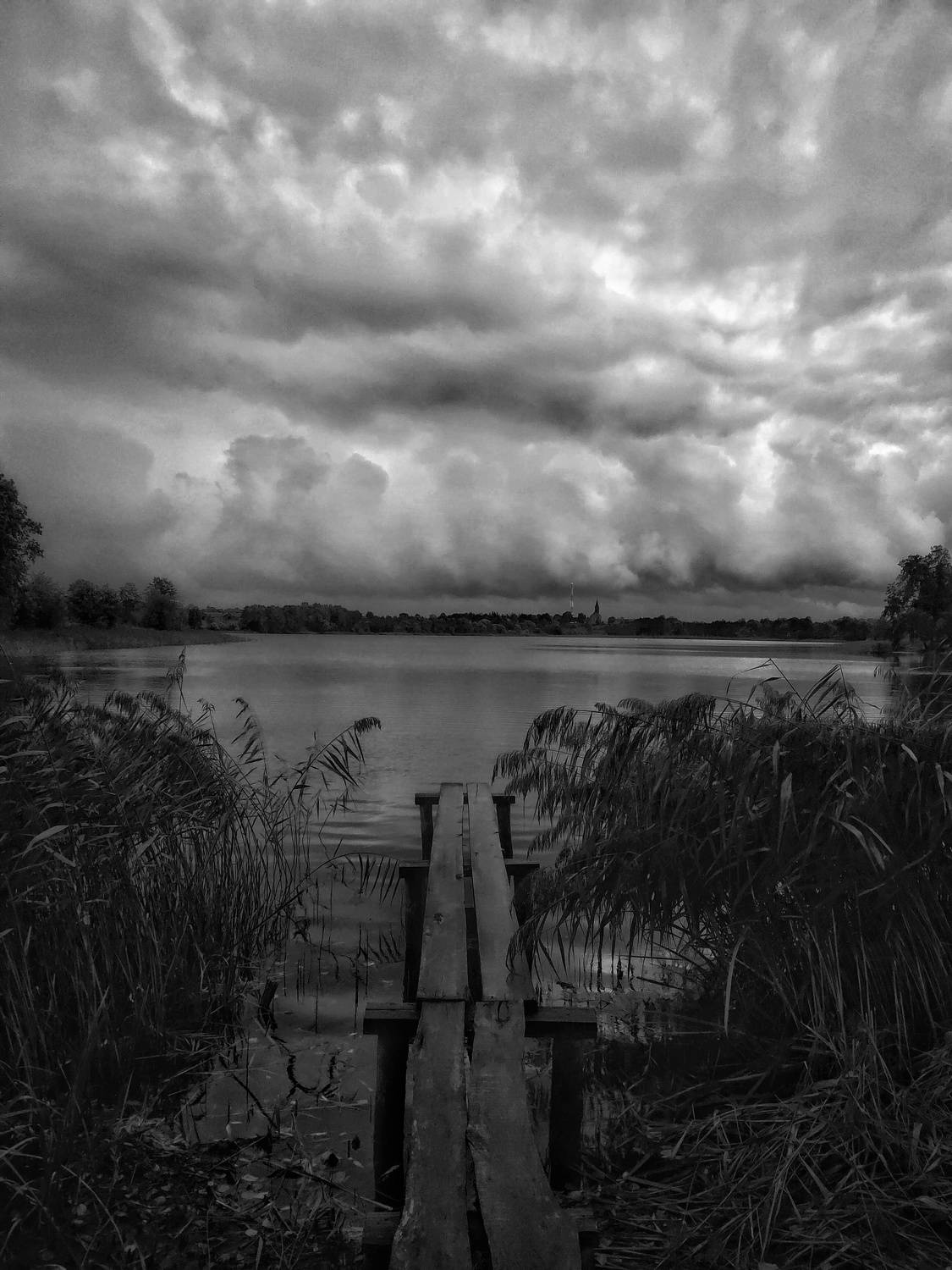 Photo #7826736