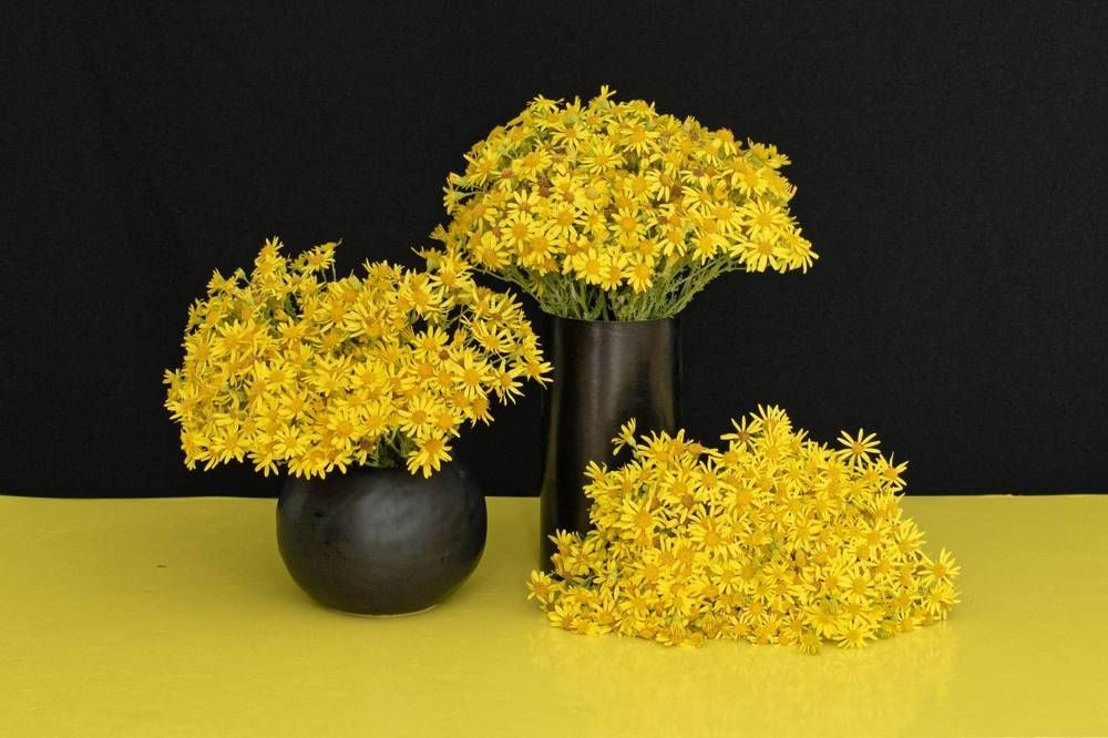 Photograph by Николай Чичерин