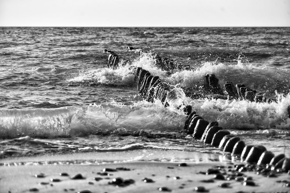 Photograph by 