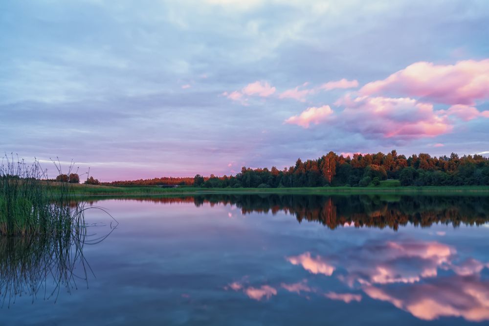 Photograph by Владимир Портуаров