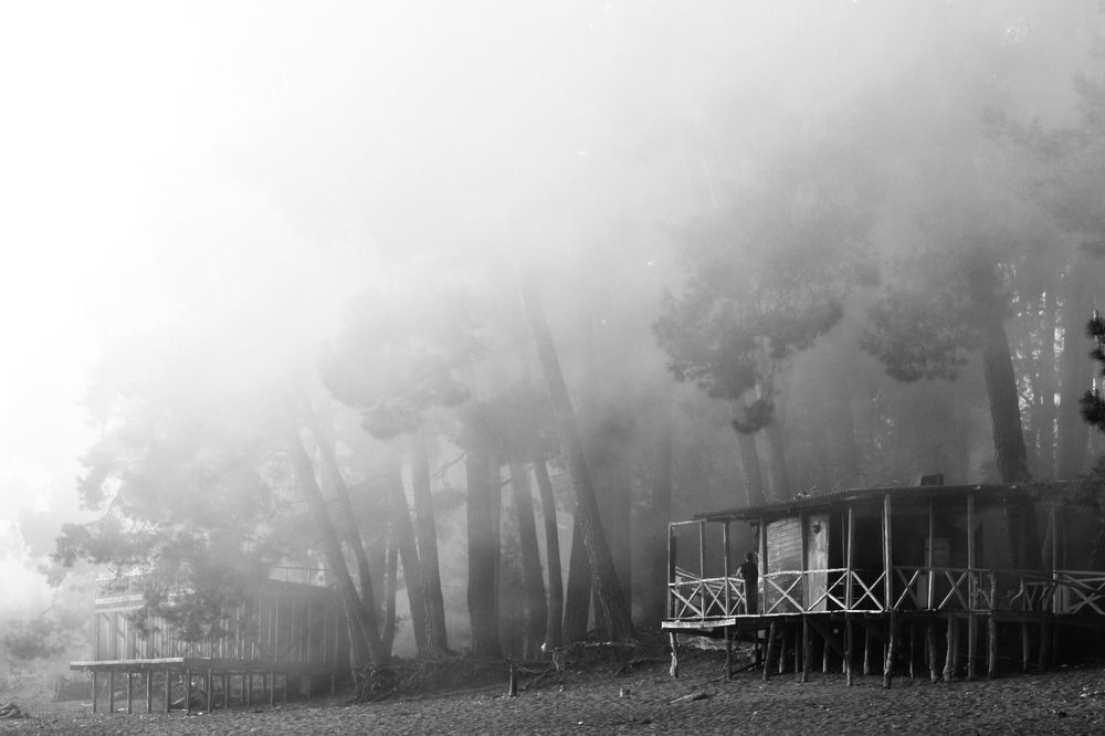 Photograph by Светлана Поляничева