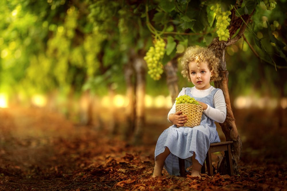 Photograph by Rotem Katz